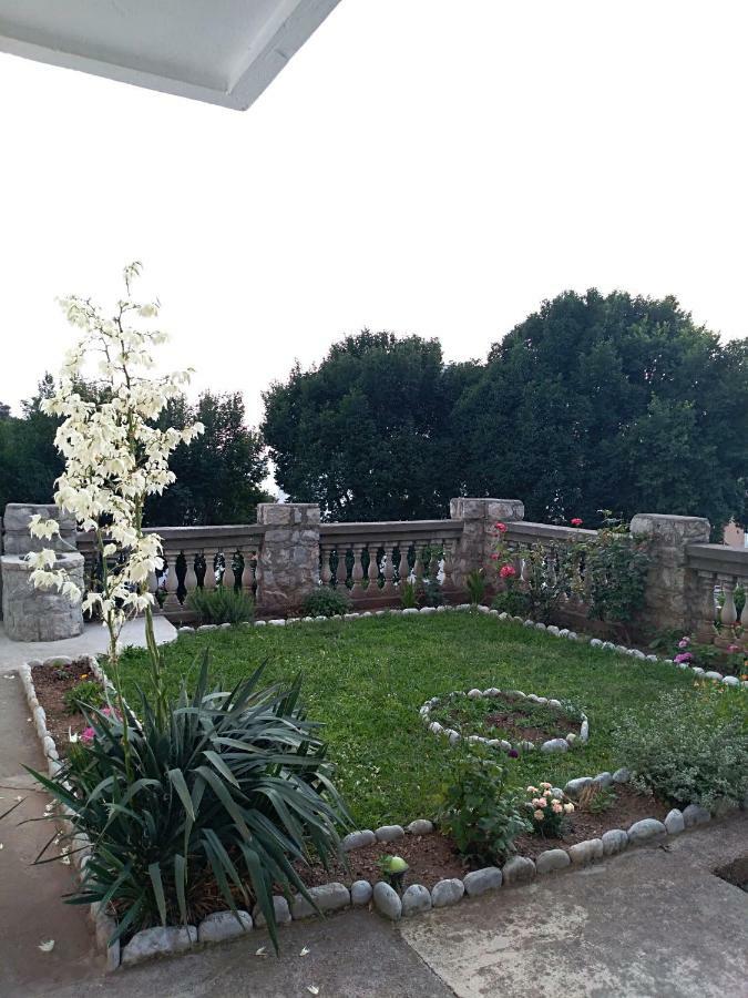 Apartmani Jovanovic Petrovazzo Esterno foto