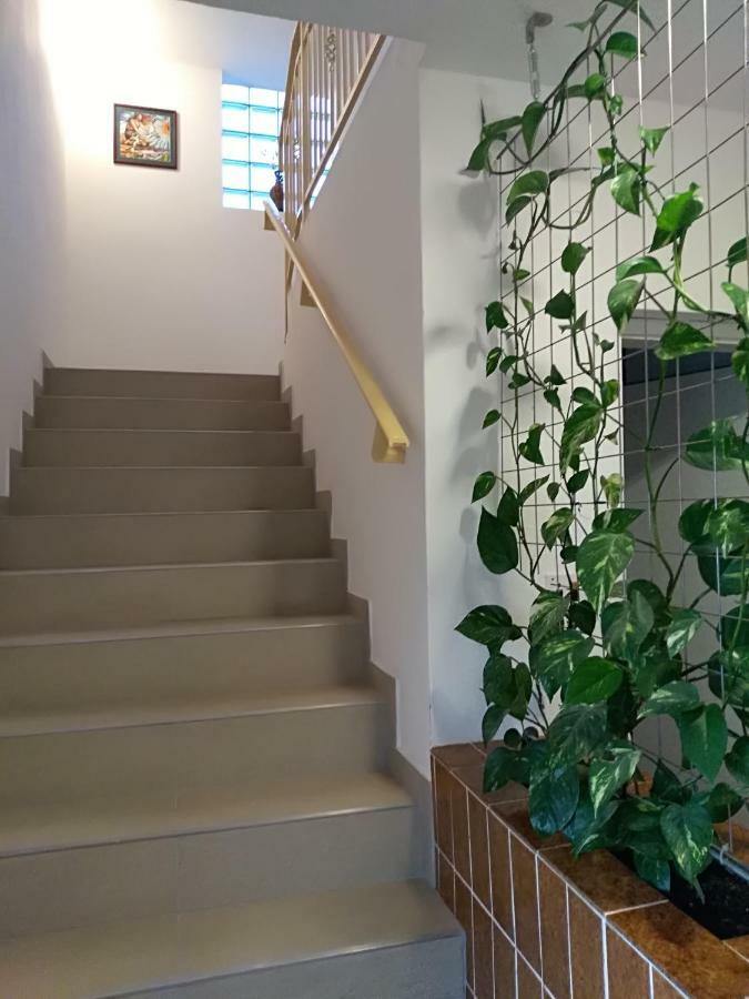Apartmani Jovanovic Petrovazzo Esterno foto