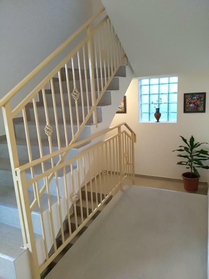 Apartmani Jovanovic Petrovazzo Esterno foto