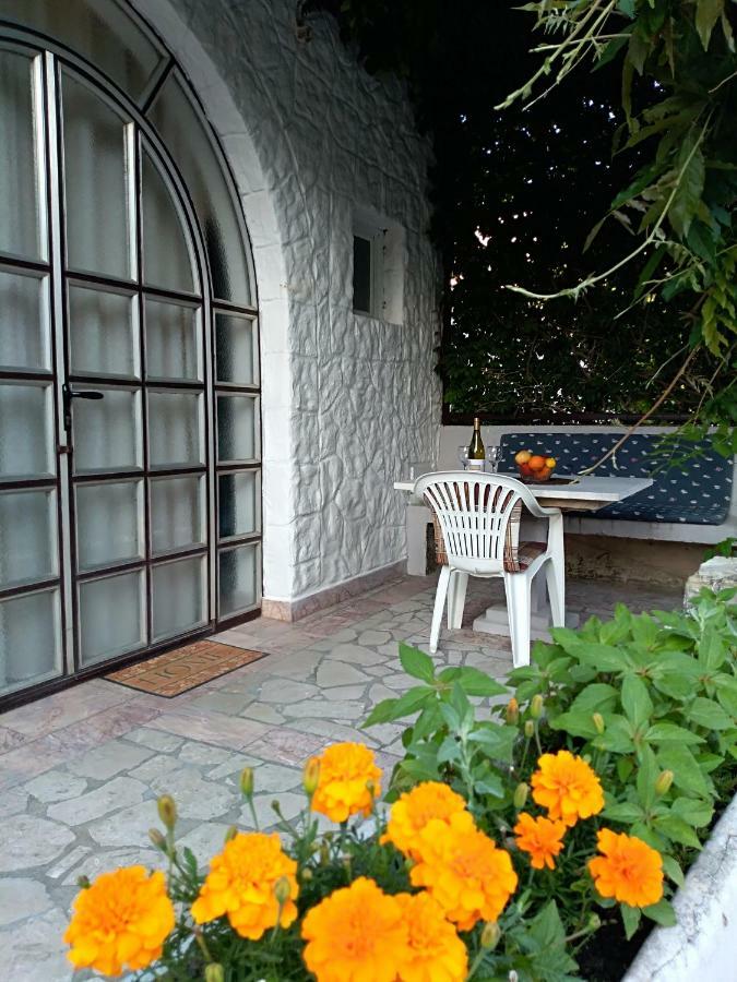 Apartmani Jovanovic Petrovazzo Esterno foto