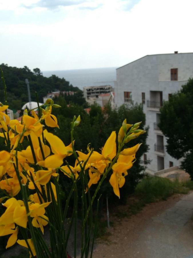 Apartmani Jovanovic Petrovazzo Esterno foto