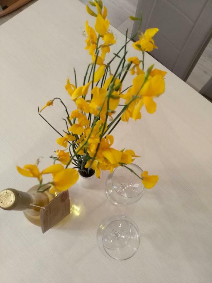 Apartmani Jovanovic Petrovazzo Esterno foto